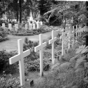 Oorlogsgraven op de gemeentelijke begraafplaats Rusthof (Amersfoort), Bestanddeelnr 912-4389
