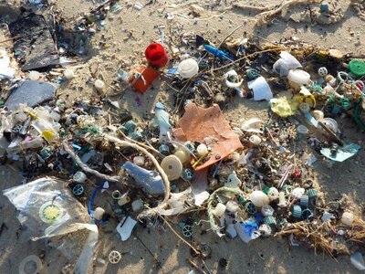 Sea mare pollution