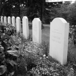 Oorlogsgraven op de gemeentelijke begraafplaats Rusthof (Amersfoort), Bestanddeelnr 912-4383