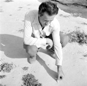 Op het strand nabij Tyrus, Bestanddeelnr 255-6319