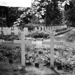 Oorlogsgraven op de gemeentelijke begraafplaats Rusthof (Amersfoort), Bestanddeelnr 912-4385