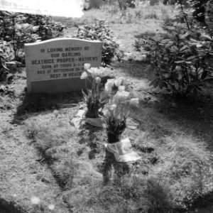 Oorlogsgraven op de gemeentelijke begraafplaats Rusthof (Amersfoort), Bestanddeelnr 912-4388