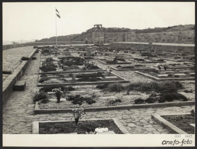 Oorlogsgraven, begraafplaatsen, Bestanddeelnr 043-0097