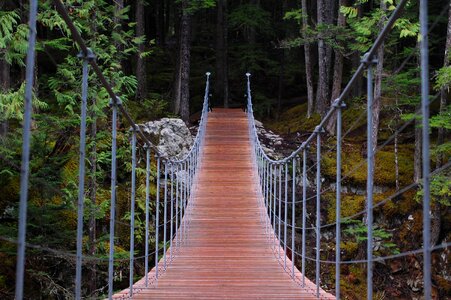 Bridge hike cool