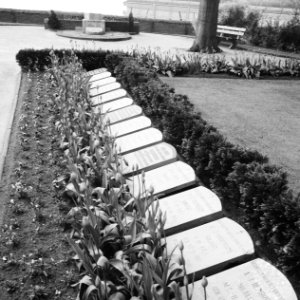 Oorlogsgraven op het Militair Ereveld Grebbeberg (Rhenen), Bestanddeelnr 912-4386