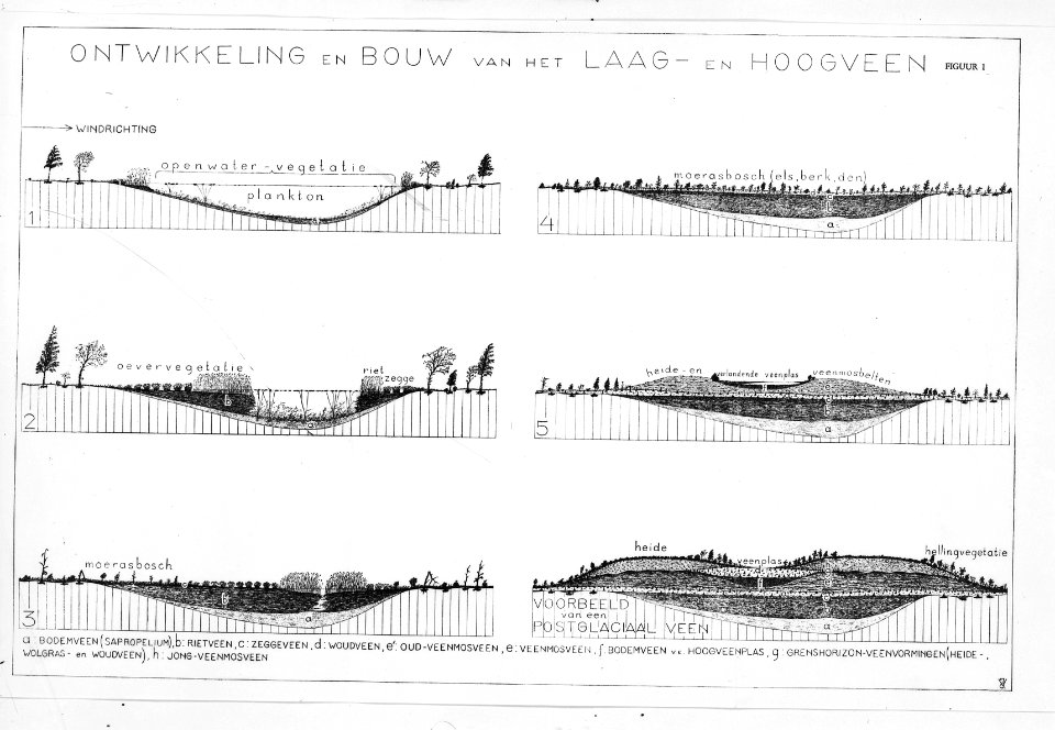 Ontwikkeling en bouw van het laag- en hoogveen, Bestanddeelnr 253-7418