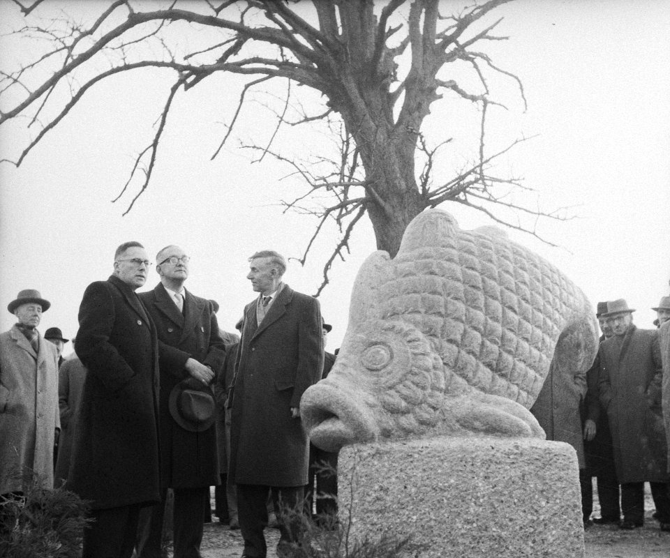 Onthulling rampmonument te St. Maartensdijk, Bestanddeelnr 909-9731