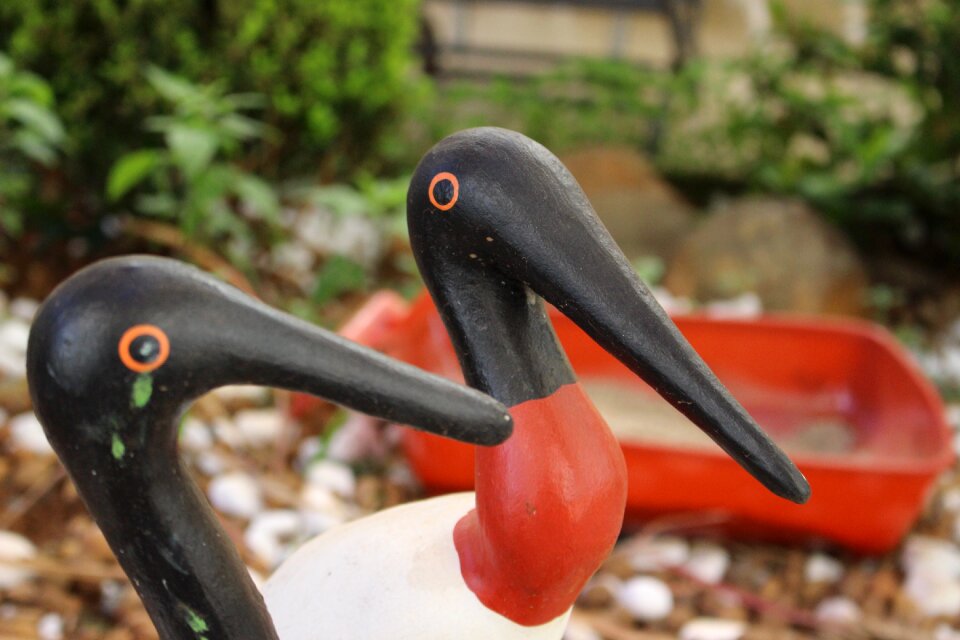 Sowers never give up bird