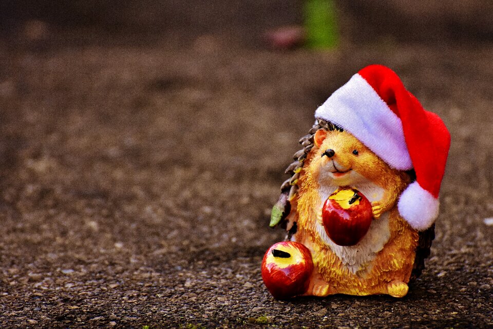 Santa hat decoration funny