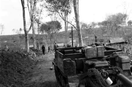 Op een weg omzoomd met bomen staat een bren-carrier. Daarvoor lopen Nederlandse , Bestanddeelnr 5701