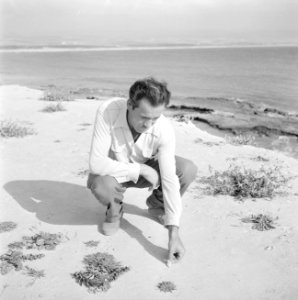 Op het strand nabij Tyrus, Bestanddeelnr 255-6318