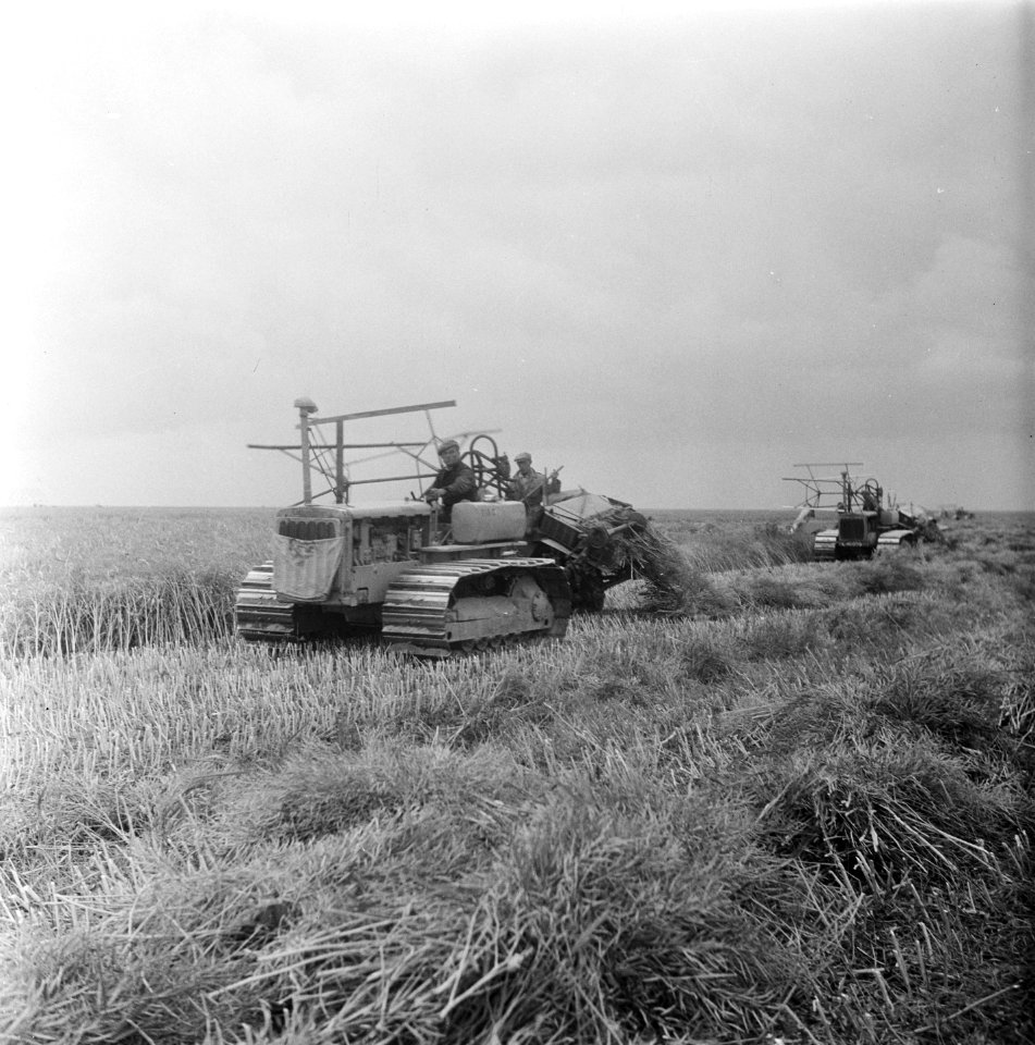 Oogsten in Noordoostpolder, Bestanddeelnr 903-5323