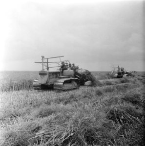 Oogsten in Noordoostpolder, Bestanddeelnr 903-5323