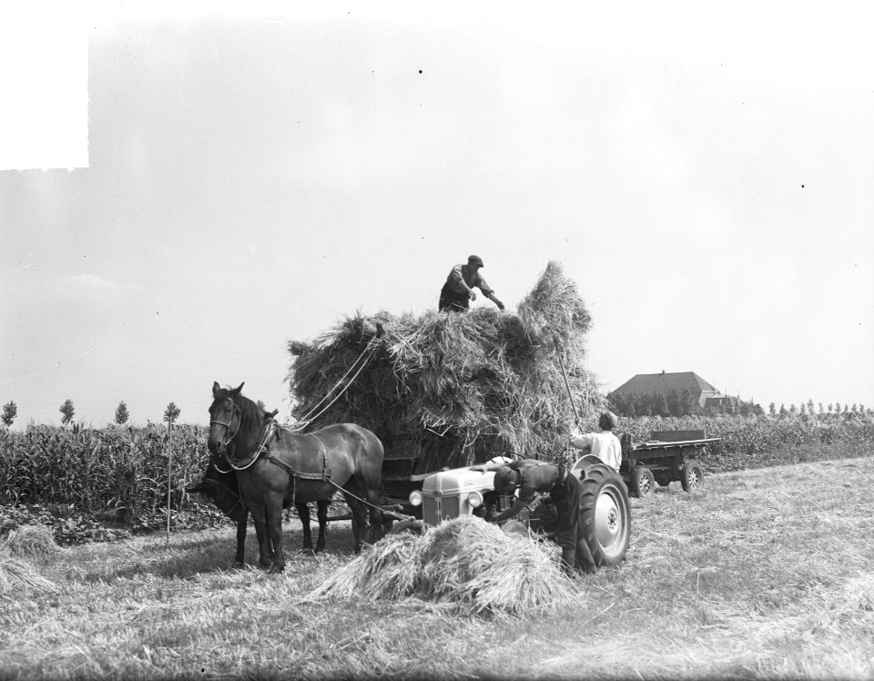 Oogstplaatjes, Bestanddeelnr 903-5723