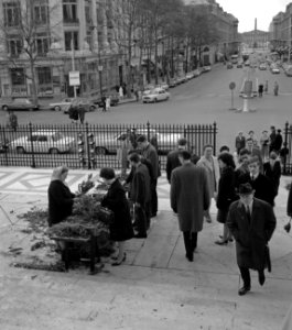Op de trappen van de Madeleine zoeken kerkgangers gewijde palmtakken uit om mee , Bestanddeelnr 254-0527