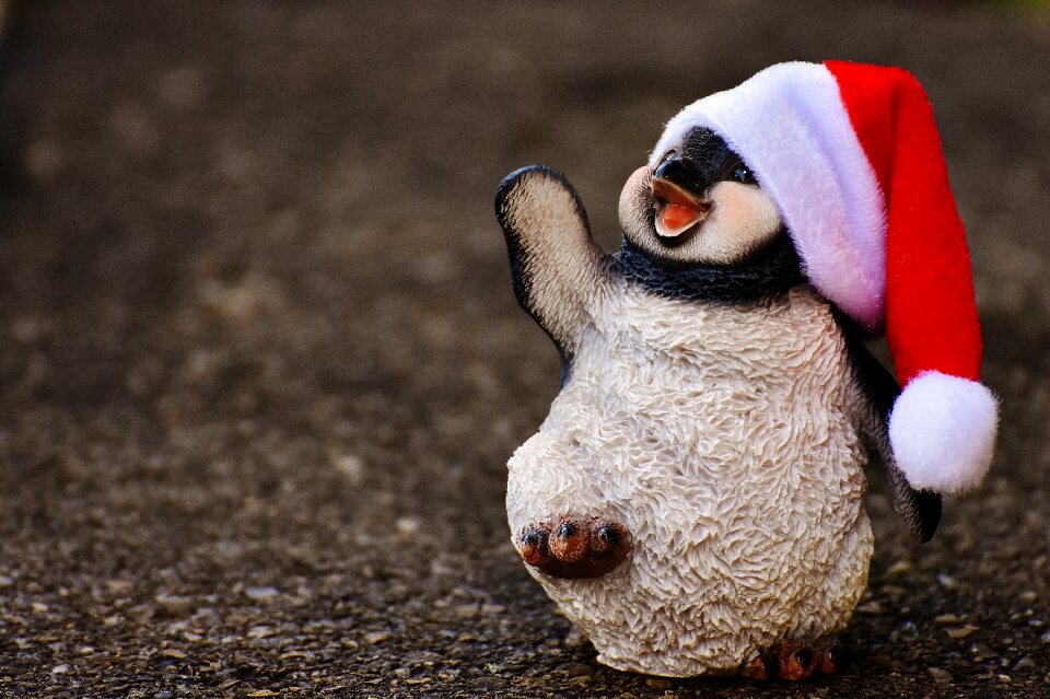 Santa hat decoration funny