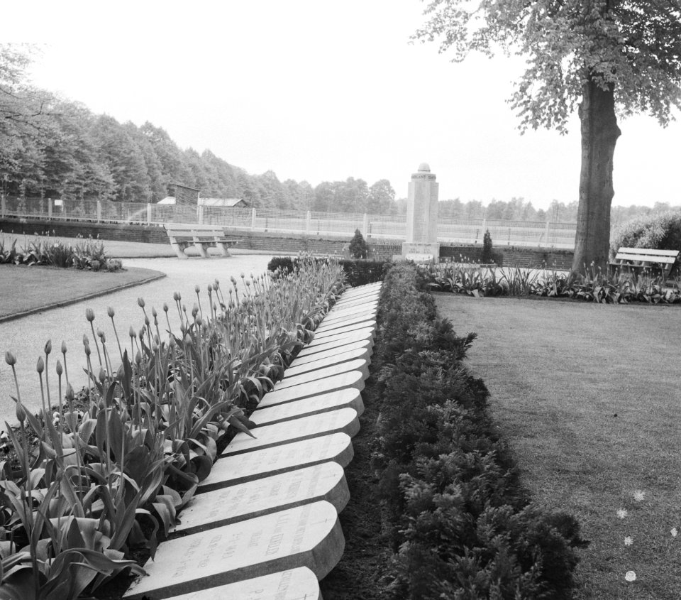 Oorlogsgraven op het Militair Ereveld Grebbeberg (Rhenen) Op de achtergrond her, Bestanddeelnr 912-4387