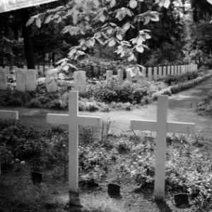 Oorlogsgraven op de gemeentelijke begraafplaats Rusthof (Amersfoort), Bestanddeelnr 912-4390