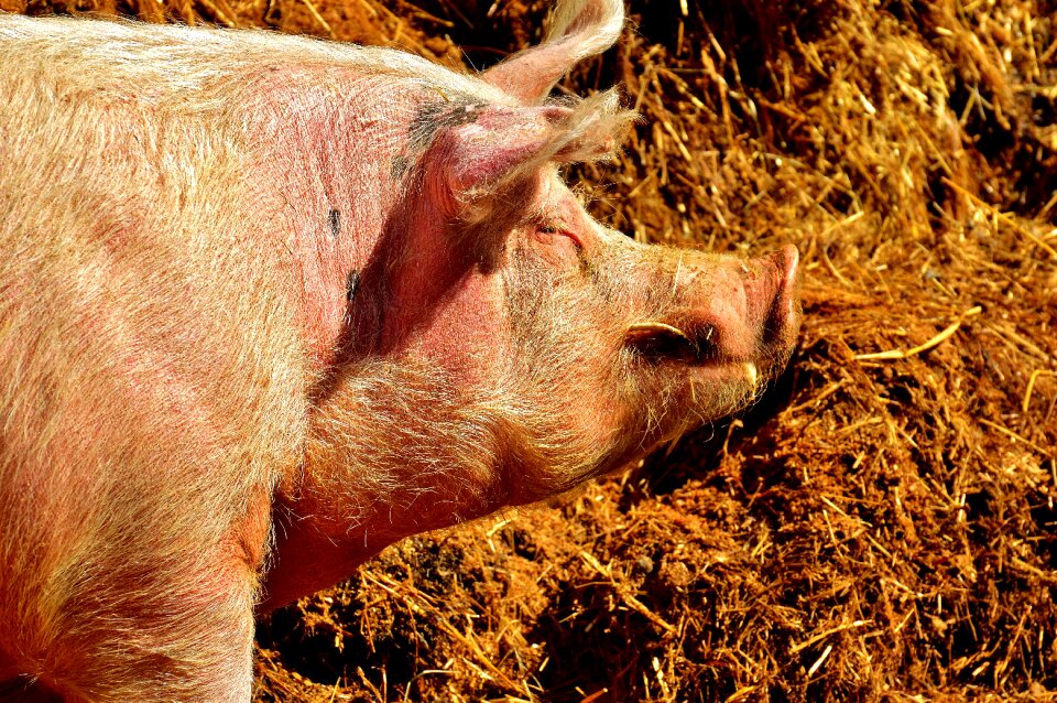 Cozy relaxed good aiderbichl