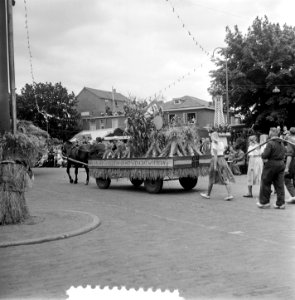 Oogstfeest in Raalte (De stoppelhaan op wagen), Bestanddeelnr 905-8949