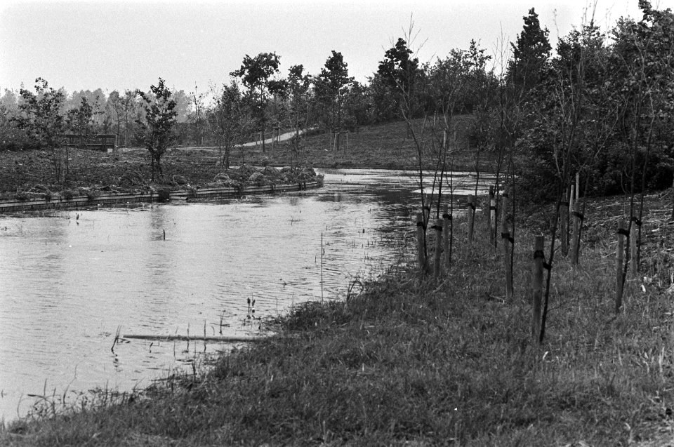 Ontwikkeling van Floriade 82 , vijver, Bestanddeelnr 931-0092