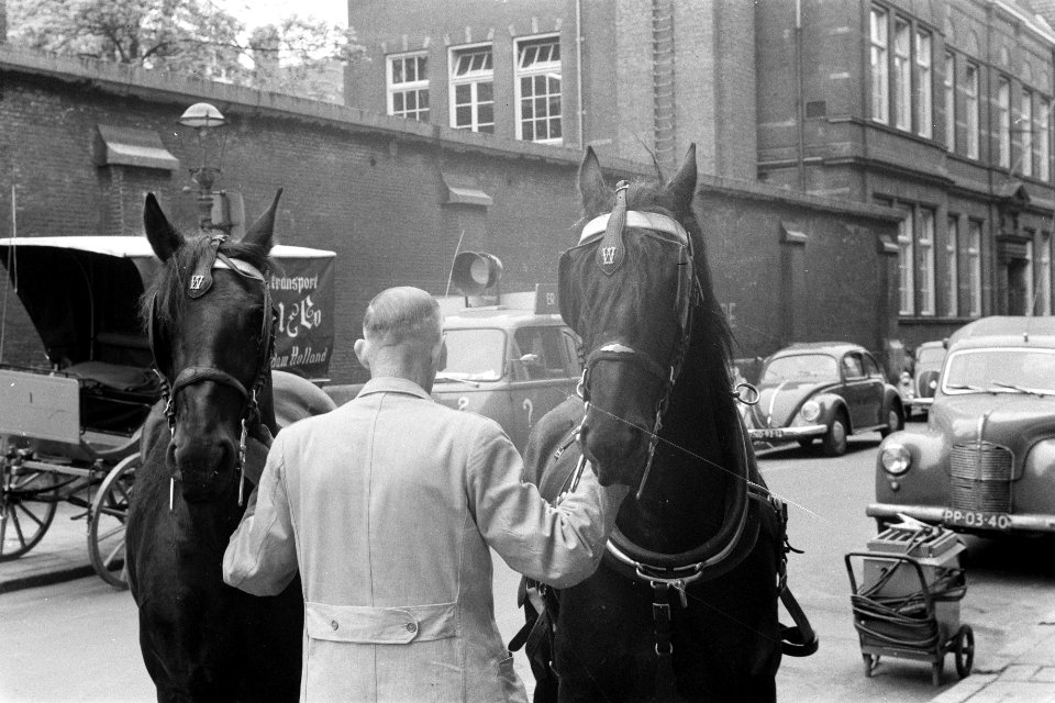 Opdracht De Telegraaf , stalhouderij van de Nieuwe kerkstraat, Bestanddeelnr 911-2623