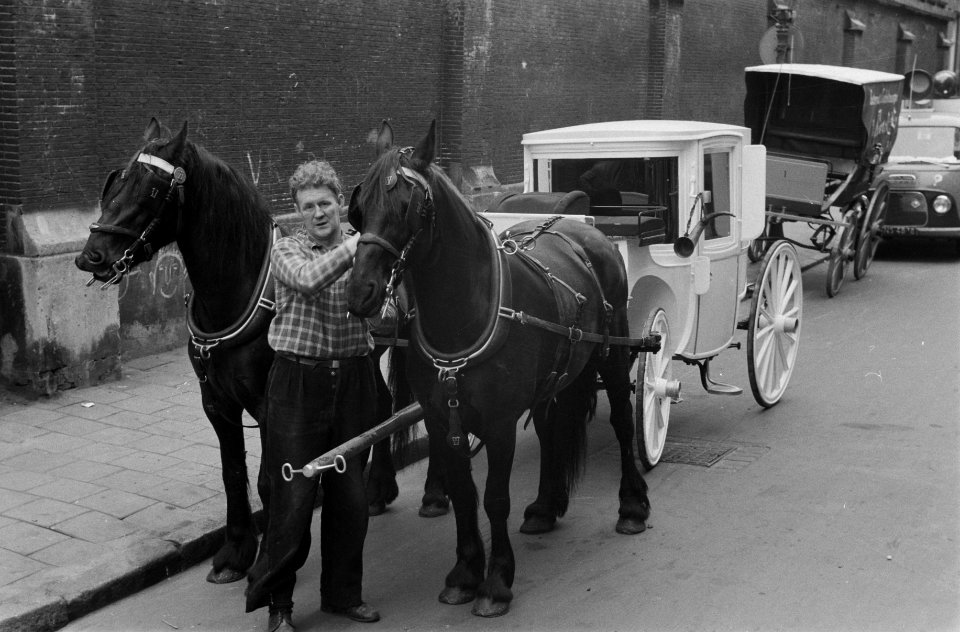 Opdracht De Telegraaf , stalhouderij van de Nieuwe kerkstraat, Bestanddeelnr 911-2624