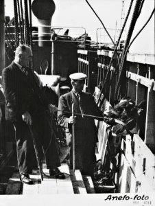 Op de Thomsonkade te Rotterdam is men begonnen met de inscheping van 61 koeien a, Bestanddeelnr 064-0344