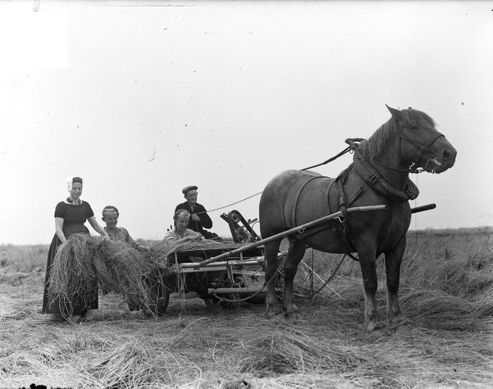 Oogsten in Noordoostpolder, Bestanddeelnr 904-0821