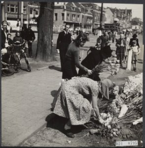 Ook Haarlem heeft zijn monument voor 8 helden op 7 maart 1945 laaghartig vermoor, Bestanddeelnr 024-0795