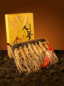 Yellow grass brown grass