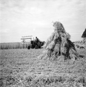 Oogstplaatjes (hooi en boerderij), Bestanddeelnr 934-5523