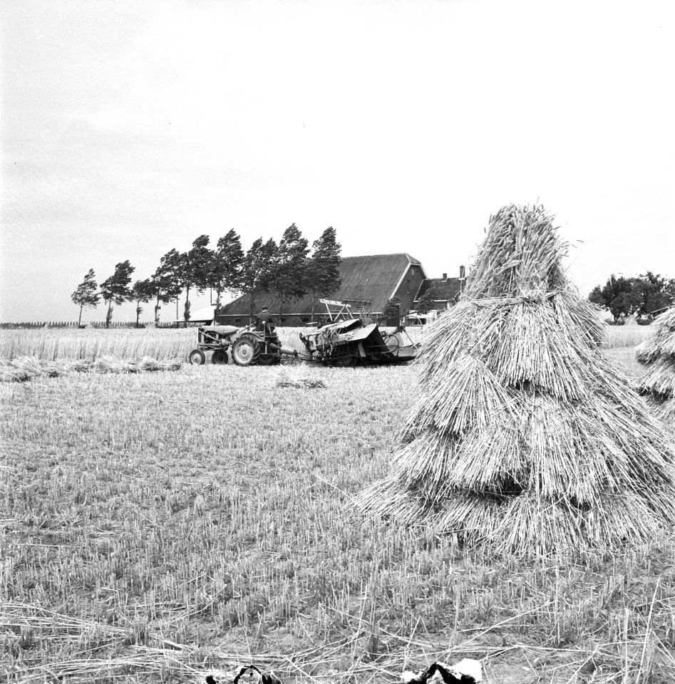 Oogstplaatjes (hooi en boerderij), Bestanddeelnr 934-5522