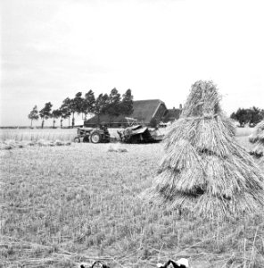 Oogstplaatjes (hooi en boerderij), Bestanddeelnr 934-5522