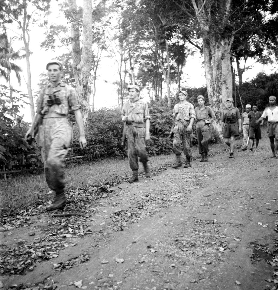 Oost-Java. Jongens van 4-5 R.I. op patrouille. In tijgerpakken de sergeant Bo, Bestanddeelnr 12888