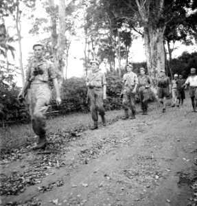 Oost-Java. Jongens van 4-5 R.I. op patrouille. In tijgerpakken de sergeant Bo, Bestanddeelnr 12888
