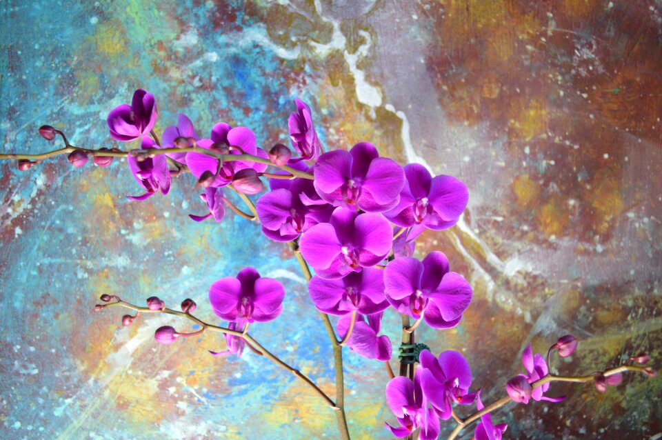 Abstract painting decorate