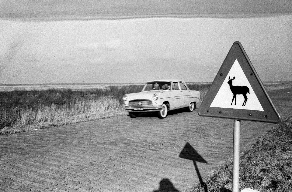 Oostelijk Flevoland . Bord waarschuwt voor overstekend wild, Bestanddeelnr 913-4625