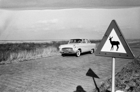 Oostelijk Flevoland . Bord waarschuwt voor overstekend wild, Bestanddeelnr 913-4625