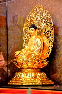 Gold body the buddha deities