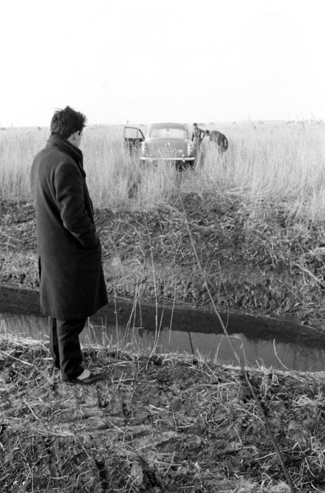Oostelijk Flevoland . Auto in rietveld, Bestanddeelnr 913-4621