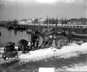 Oostenrijkse Rode Kruis Kalonex Dordrecht bij evacuatie van Zierikzee, Bestanddeelnr 905-5505