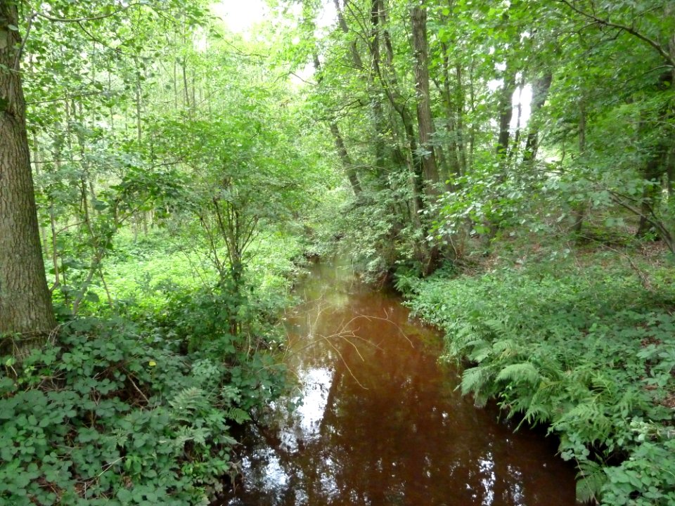 Oostrumse Beek2
