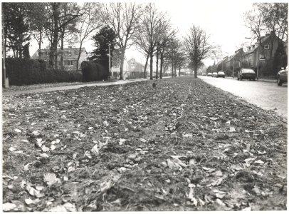 Oosterduinweg Rechts - Haarlem Links - Bloemendaal, NL-HlmNHA 54016692