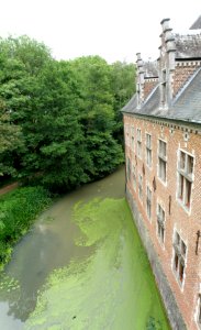 Oostmalle Kasteel de Renesse 6