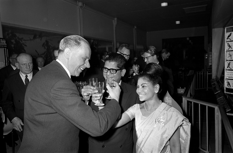 Opdracht de Gruyter , Miss Manilla, Bestanddeelnr 919-9764