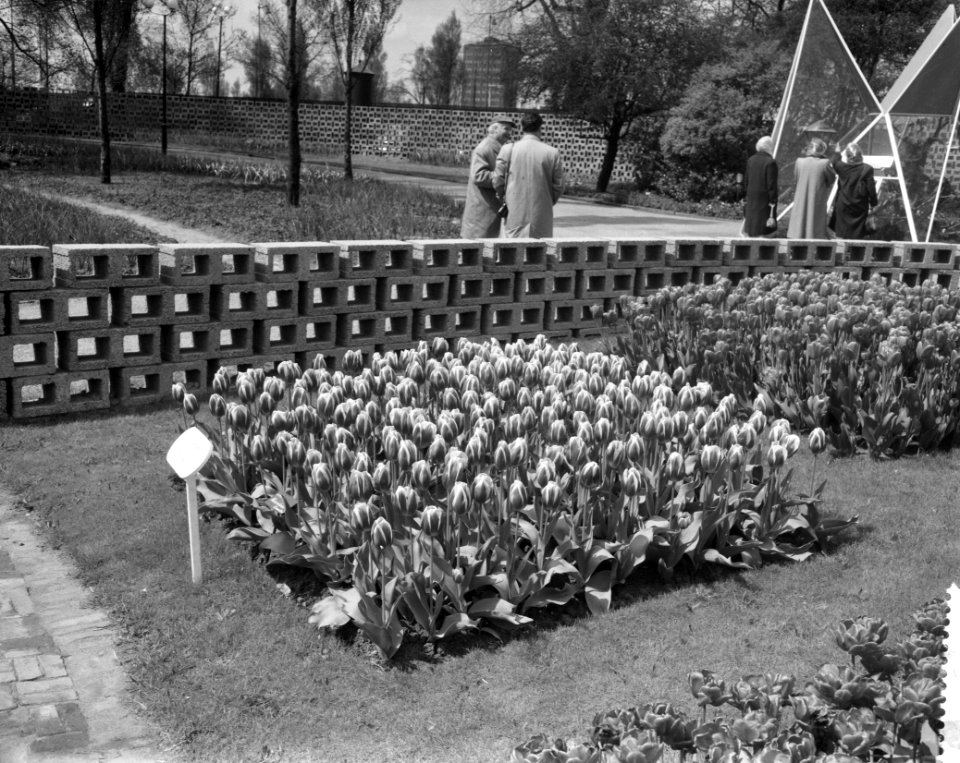 Opdracht Drukkerij Wijt te Rotterdam, fotos Floriade, Bestanddeelnr 911-2697