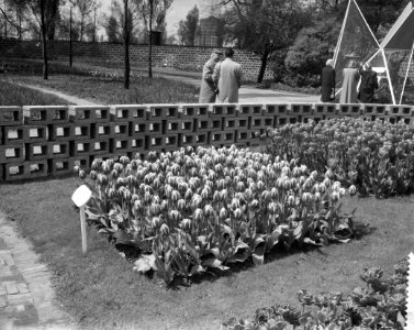 Opdracht Drukkerij Wijt te Rotterdam, fotos Floriade, Bestanddeelnr 911-2697