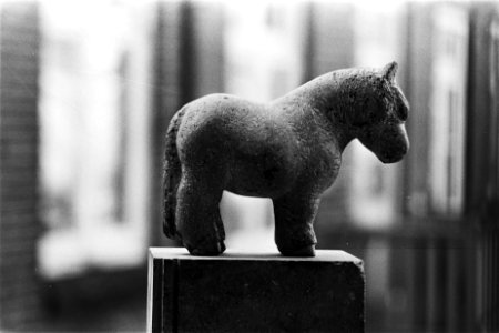 Opdracht Centrum de Vaart ( de heer Zeilstra ) beeldje paardje van mevrouw Hors, Bestanddeelnr 930-6806