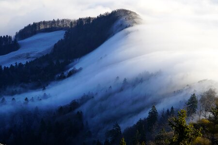 Fog nebellandschaft wave of fog